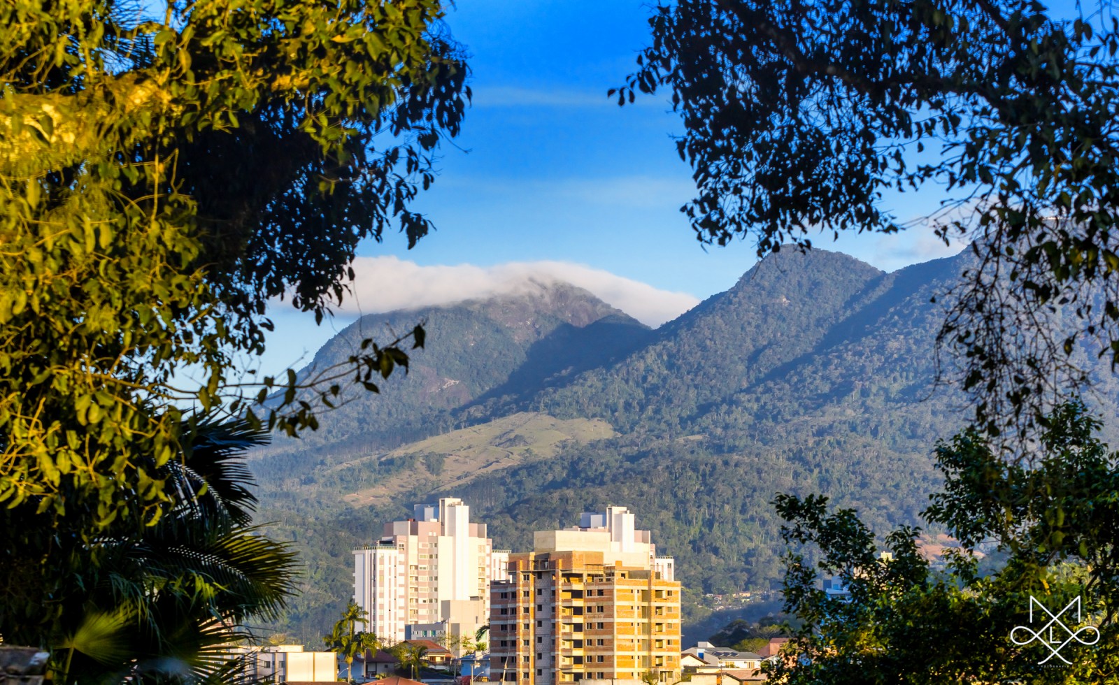 Economia de Jaraguá do Sul seu Potencial e suas Oportunidades